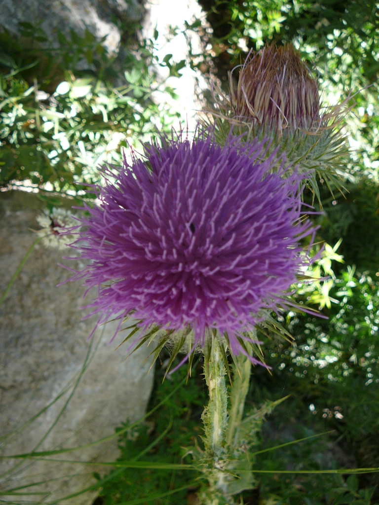 P1210431