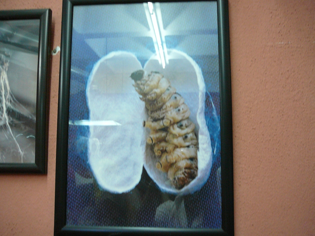 P1210551
