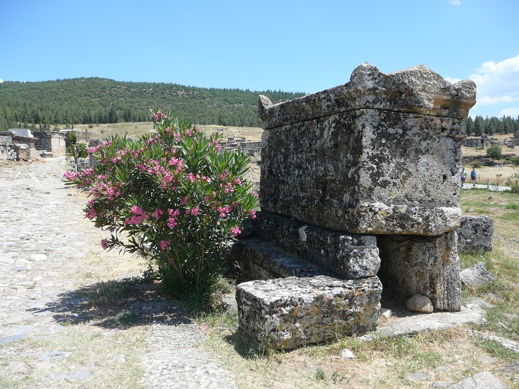 P1210609