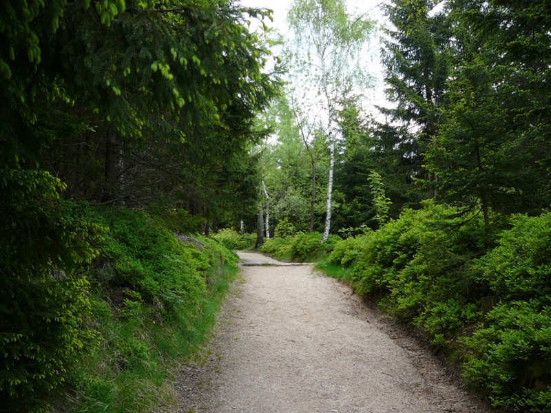 P1070665.JPG