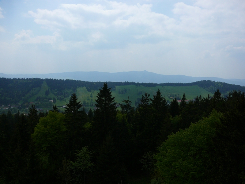 P1070674.JPG
