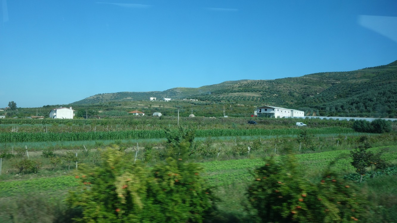 DSC01861