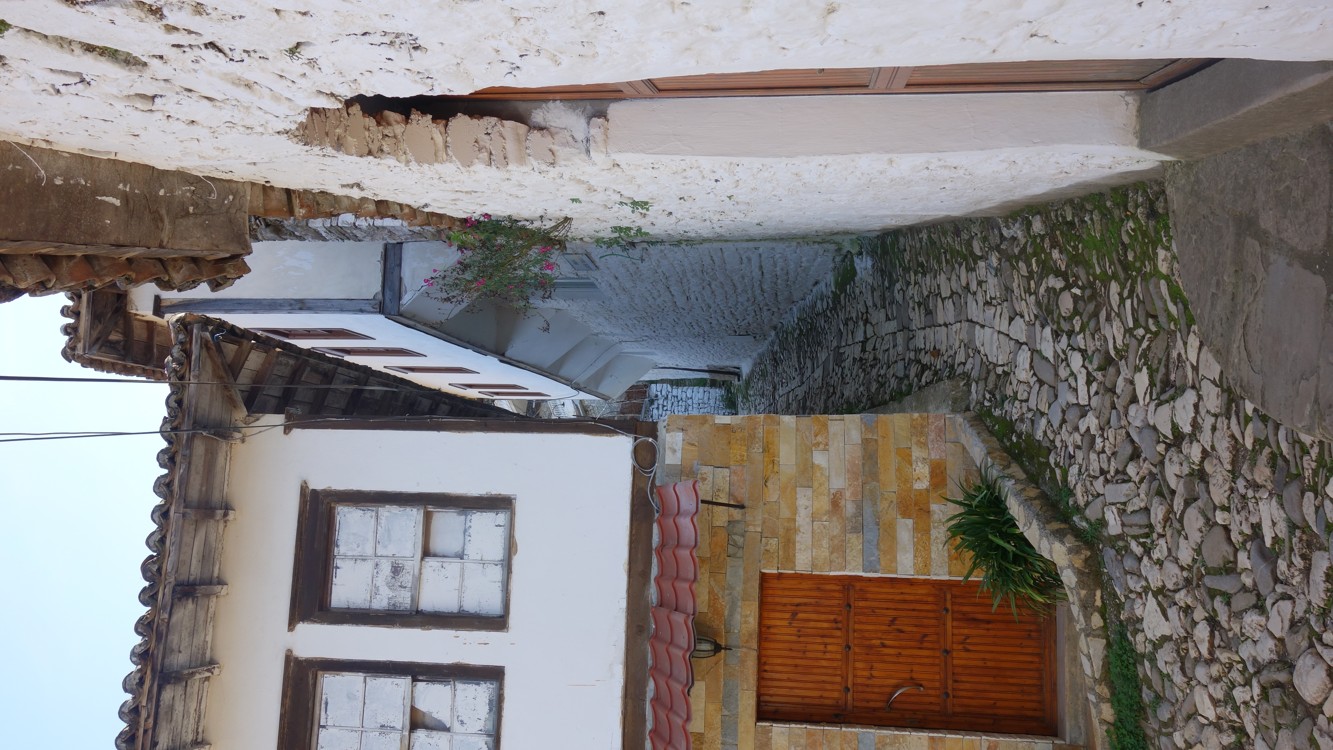 DSC01894