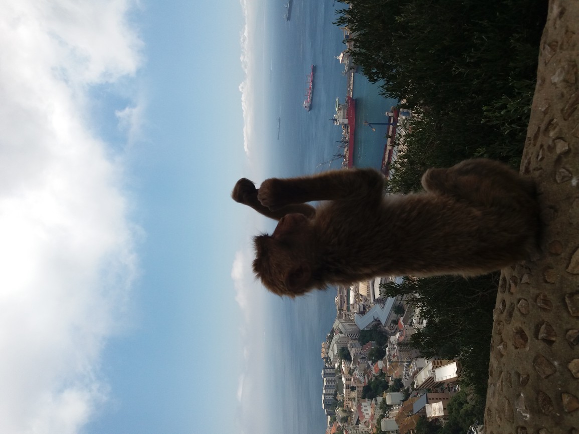 20170607_153633