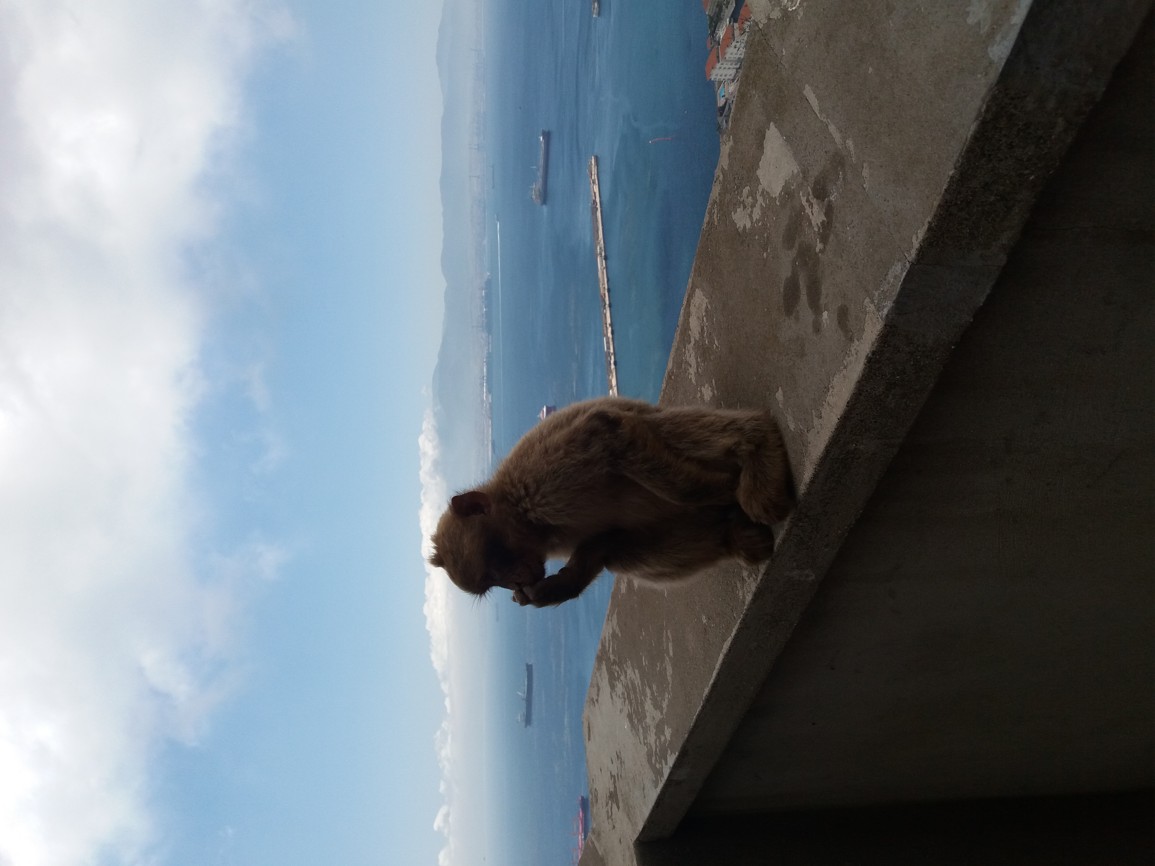 20170607_154319