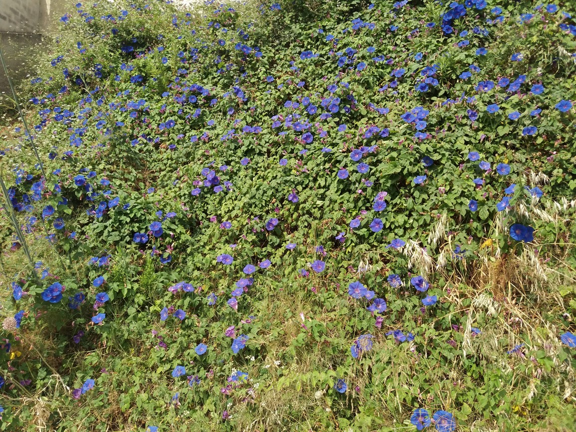 20170609_112107