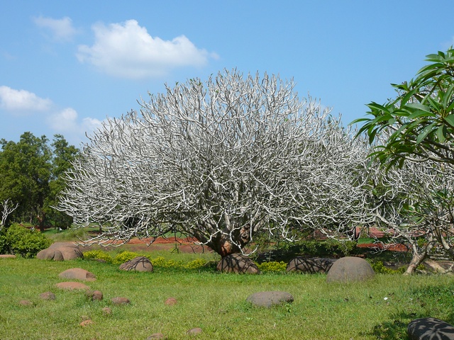 Nádhera v Auroville