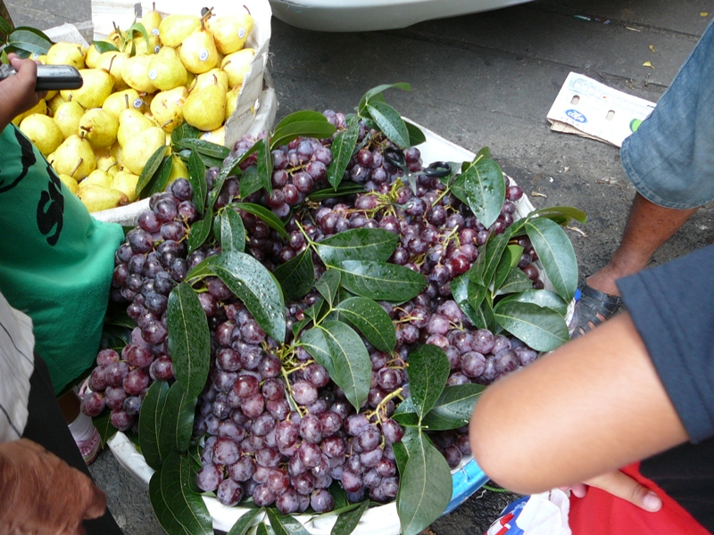 P1100099
