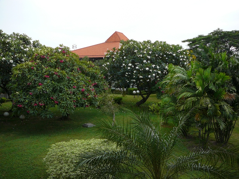 P1100137