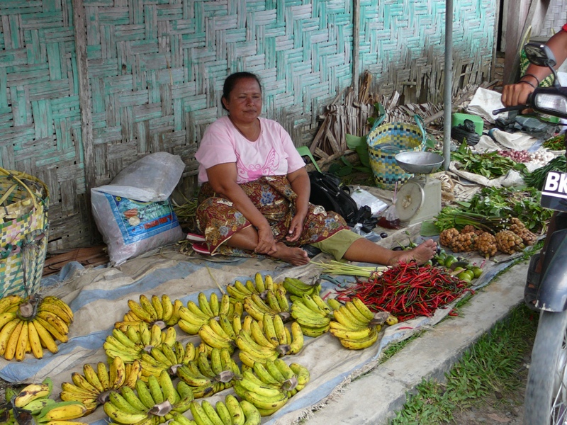 P1100194