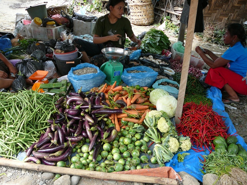 P1100196