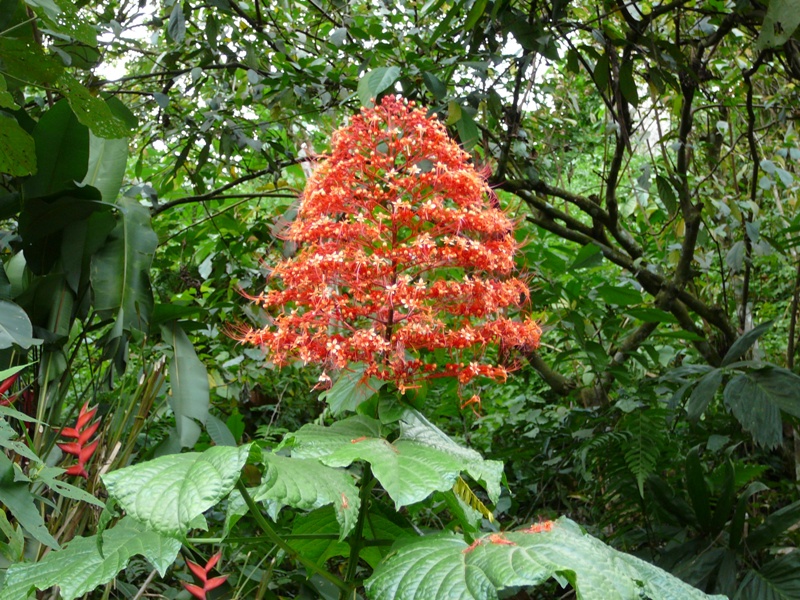 P1100222