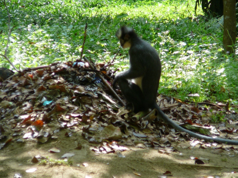 P1100226