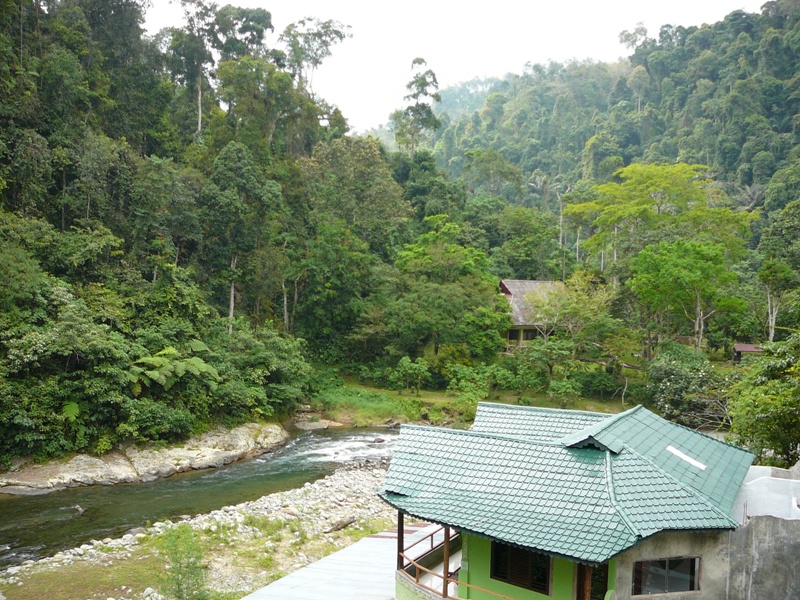 P1100235
