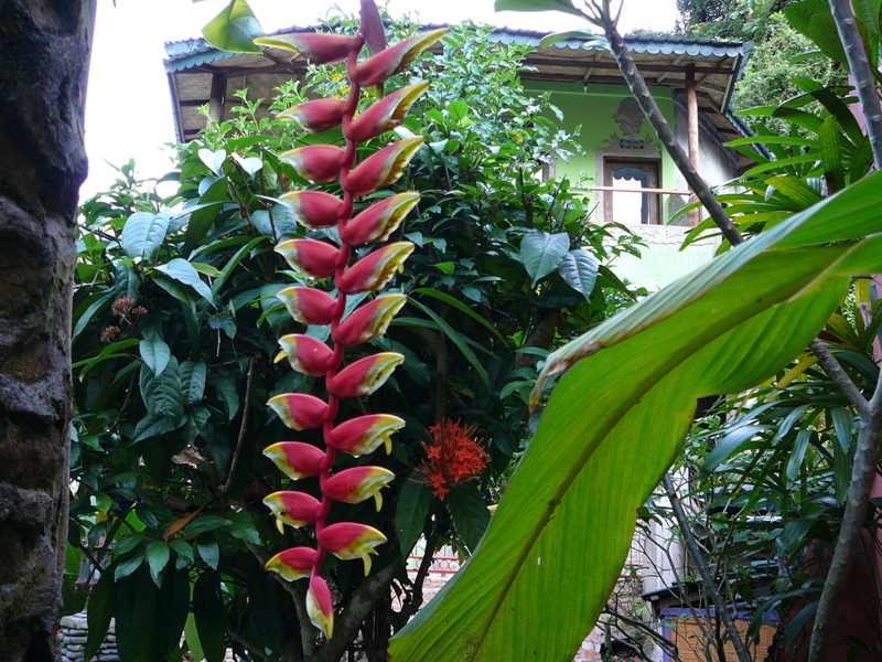 P1100262
