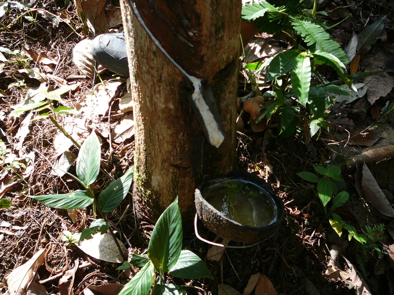 P1100273
