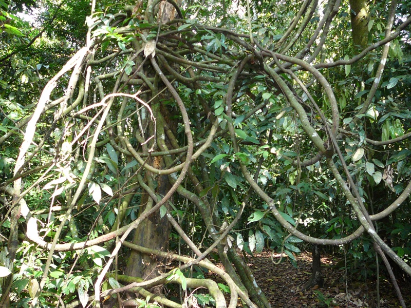 P1100276