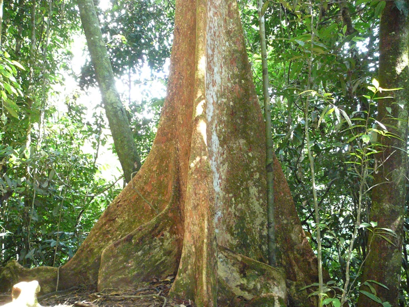 P1100278