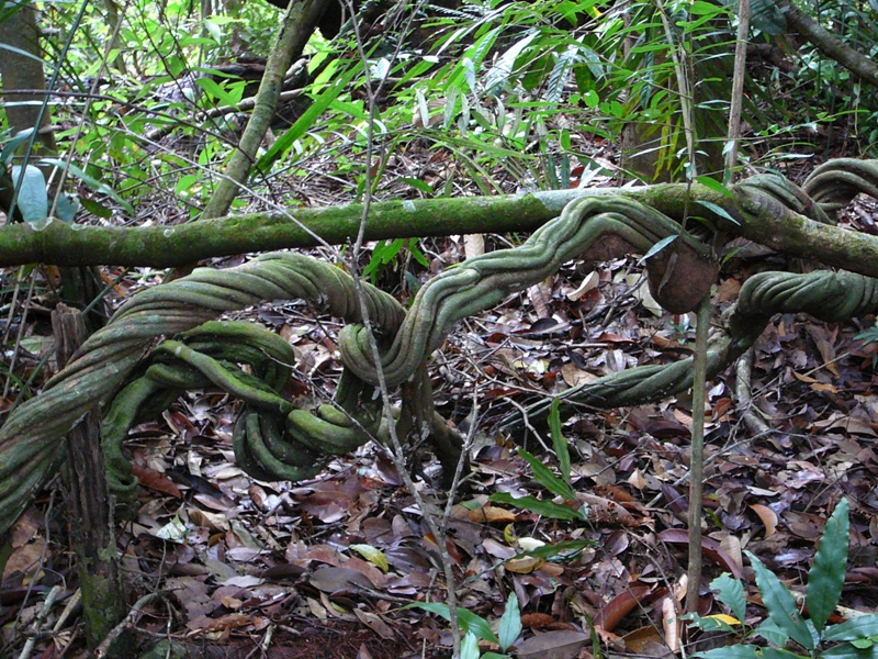 P1100317