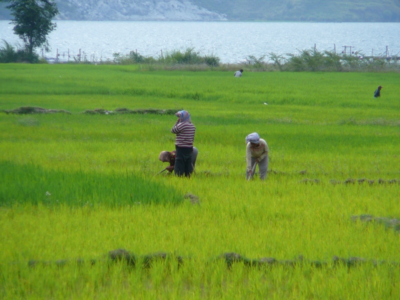 P1100446