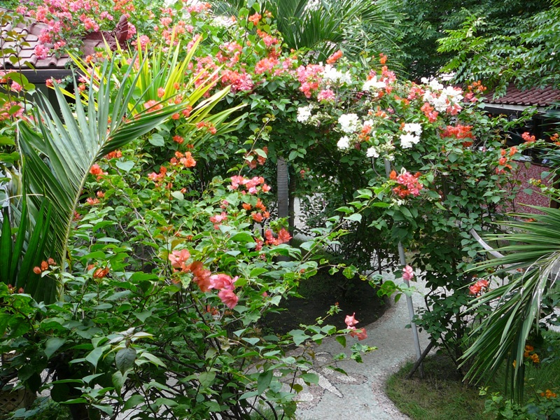 P1100737