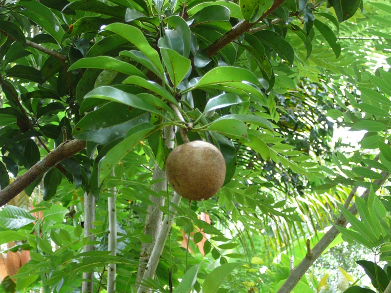 P1110005