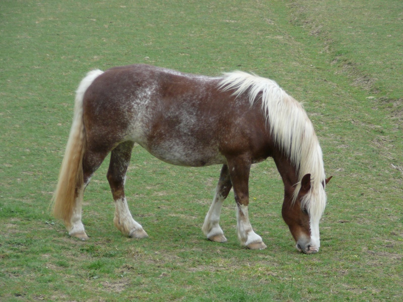 P1110427