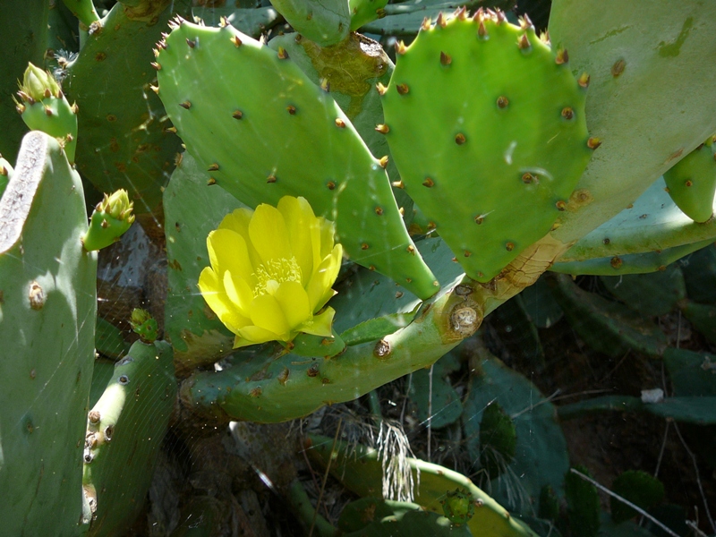 P1110883