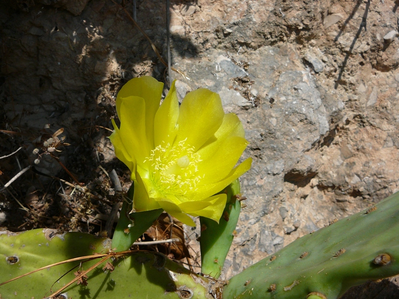 P1110885