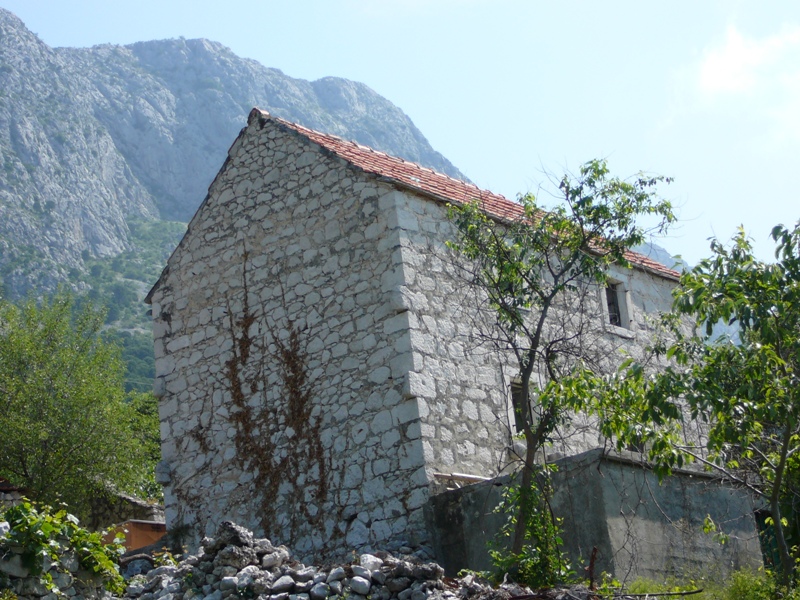 P1120006