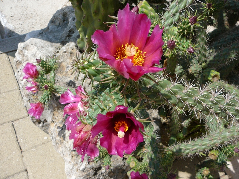 P1120054