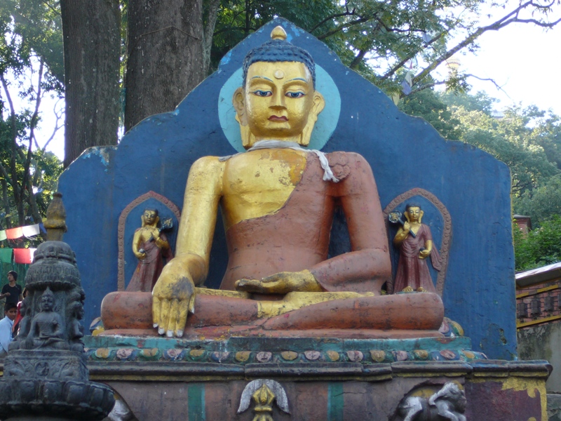 P1130108