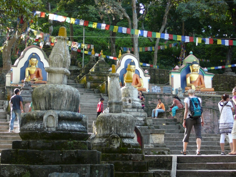 P1130116
