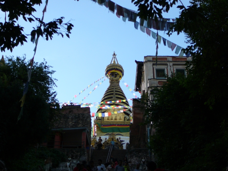 P1130119