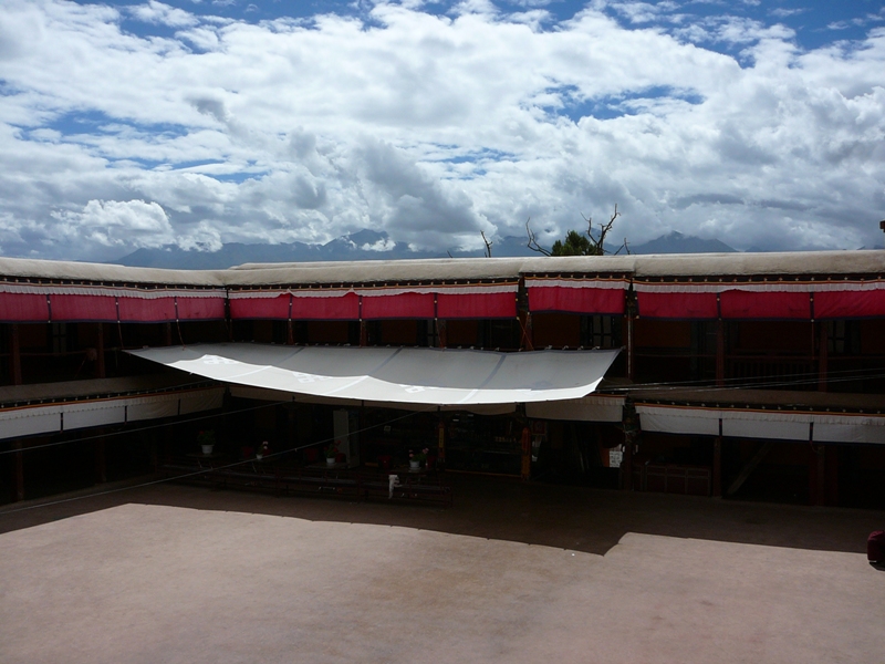 P1130219