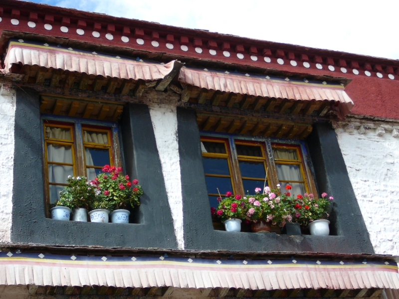 P1130268