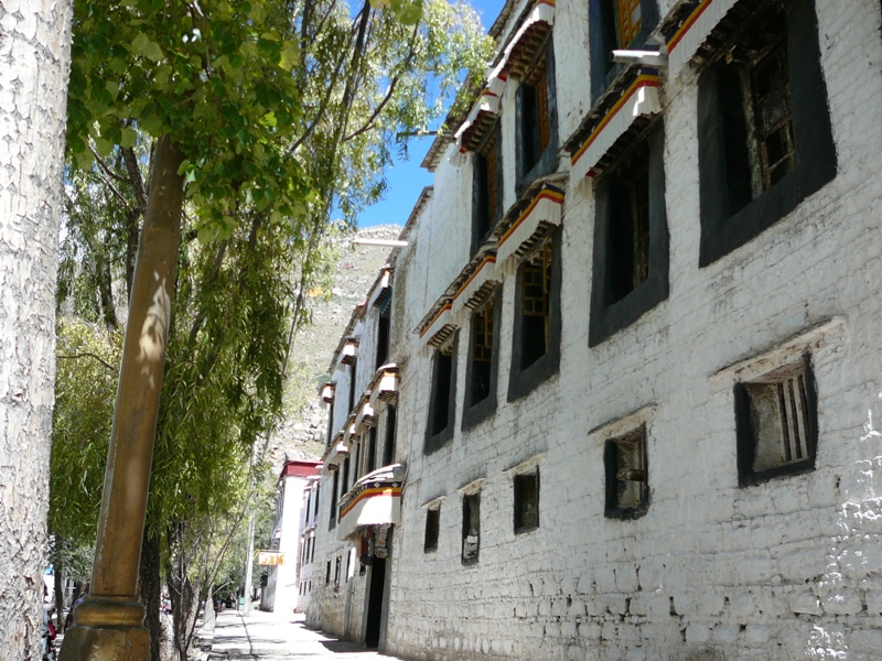 P1130399