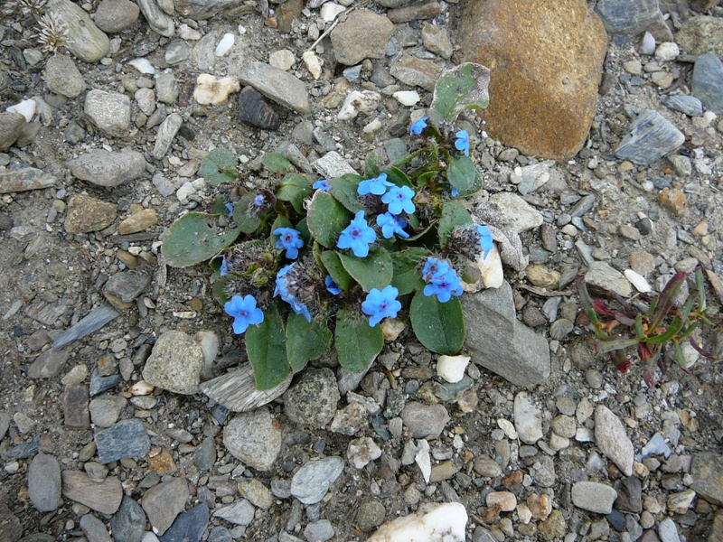 P1130543