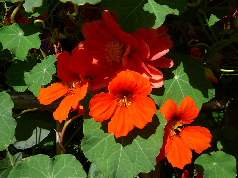P1130614