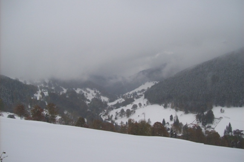 100_3563.JPG