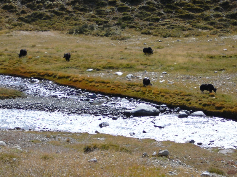 P1140085