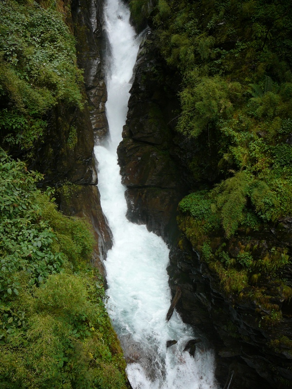 P1140206