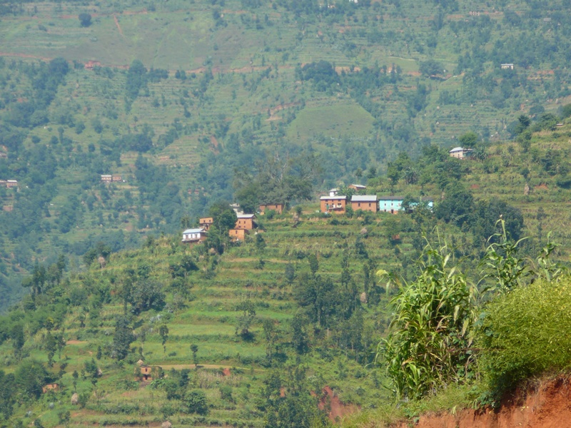 P1140223