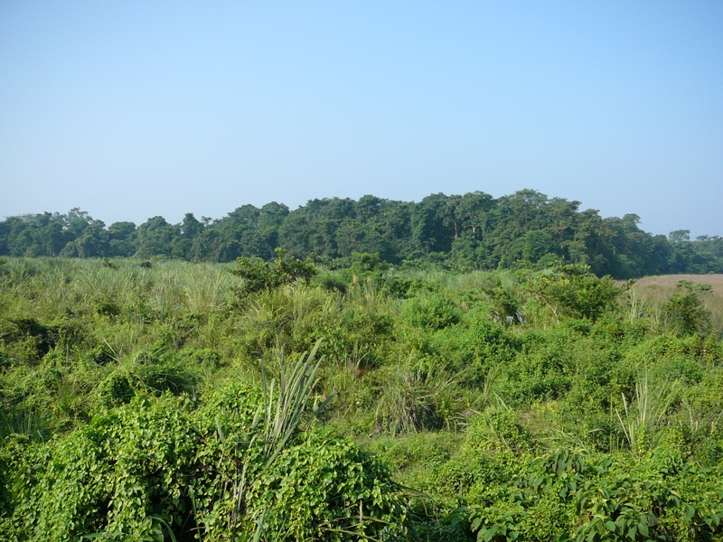 P1140340