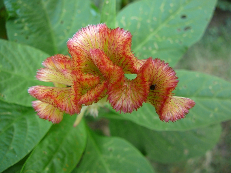 P1140346