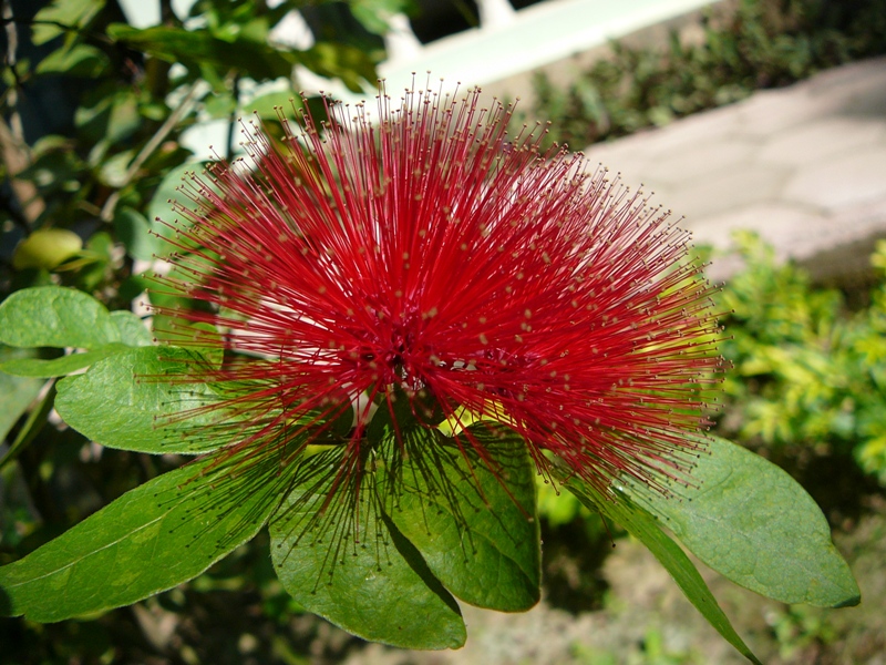 P1140347