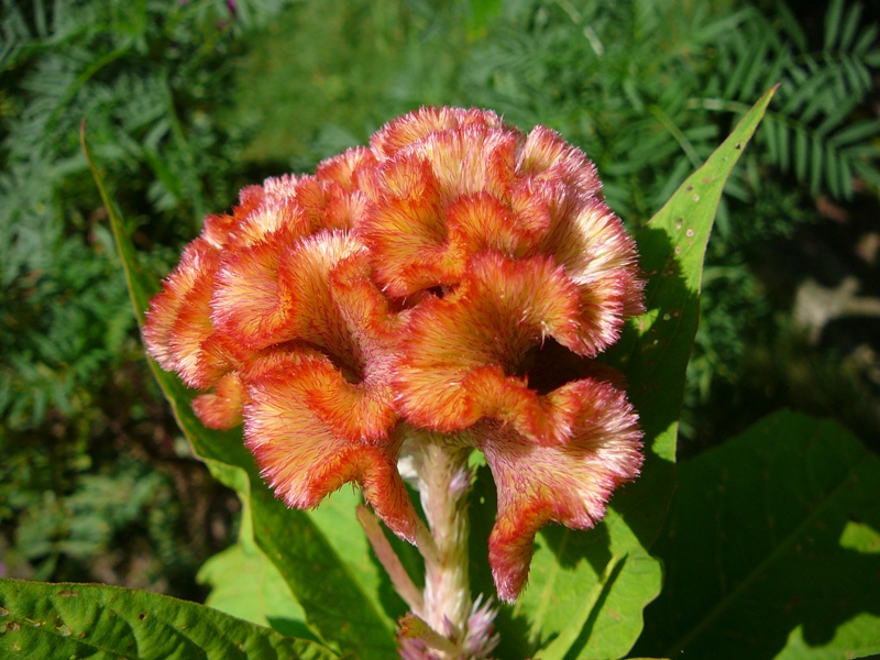 P1140351