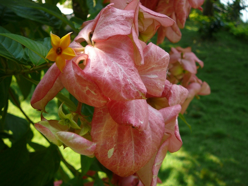 P1140352