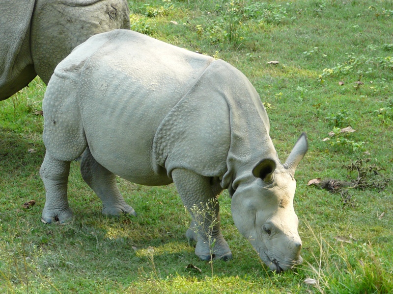 P1140383