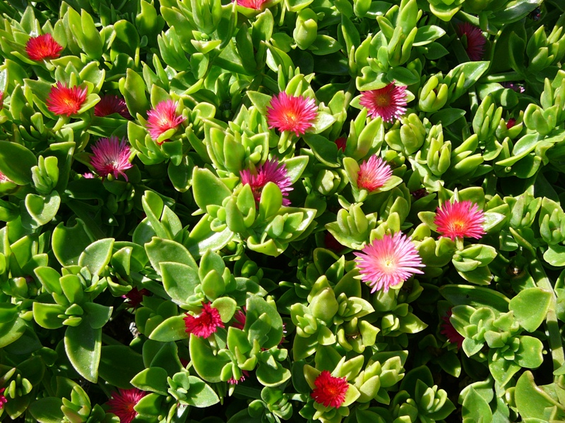 P1150510